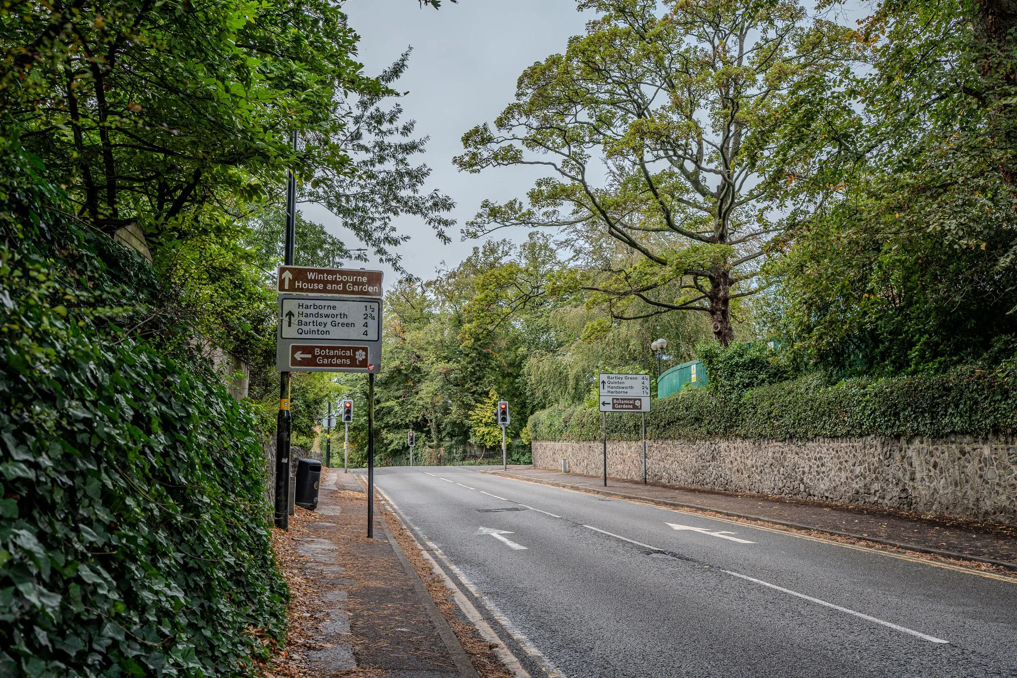 A quiet, tree-lined road in Edgbaston, Birmingham, with no traffic
